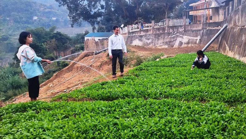 Thầy Nguyễn Duy Thủy – Hiệu trưởng Trường PTDTBT THCS Trung Lý hướng dẫn học sinh cách chăm bón rau xanh.