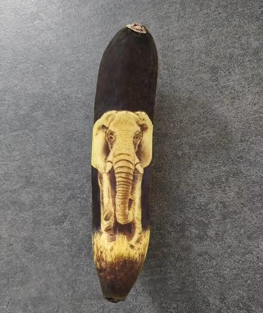 Ngỡ ngàng những tác phẩm sáng tạo từ vỏ chuối ảnh 2