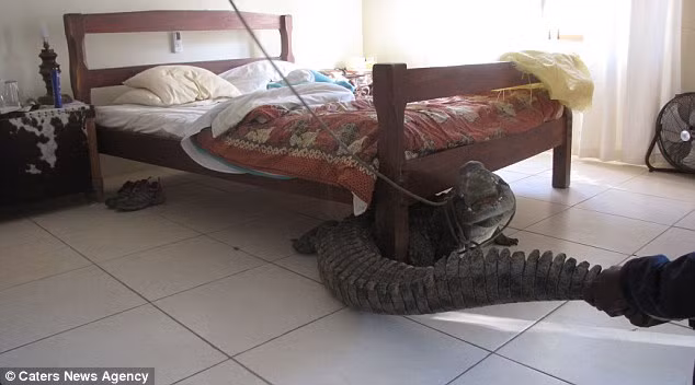 Thuê khách sạn rồi ngủ li bì, người đàn ông run rẩy khi biết thoát chết kỳ diệu ảnh 5