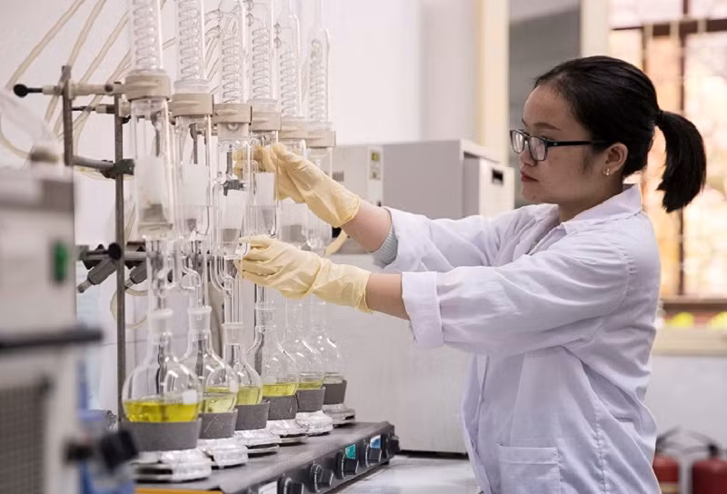 Năng lực của sức trẻ đang được phát huy trong thời đại mới.