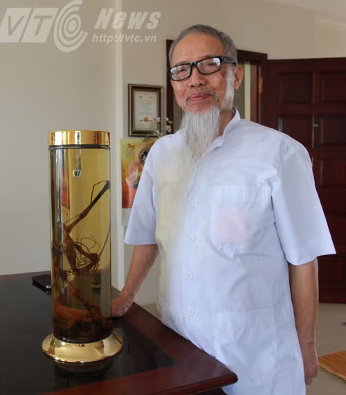 Sửng sốt phát hiện quần thể sâm khổng lồ trên đỉnh Ngọc Linh