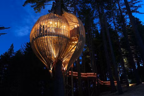 13 ngoi nha tren cay sang tao nhat ma chung ta tung thay - Anh 10