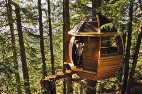 13 ngoi nha tren cay sang tao nhat ma chung ta tung thay - Anh 11