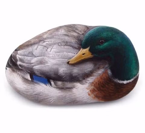 Kỷ lục Guinness thế giới về làn da đàn hồi nhất ảnh 1