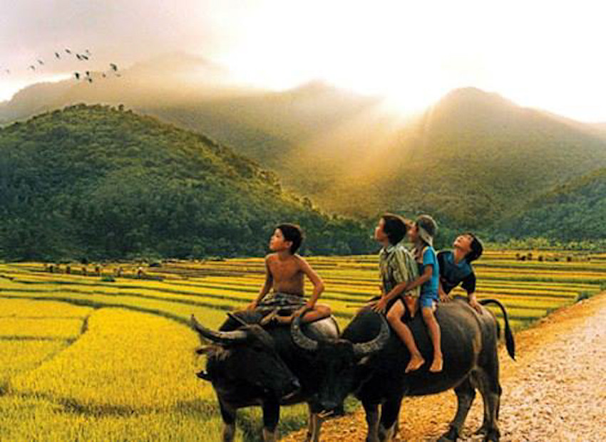 Ảnh minh họa: ITN Ảnh minh họa: ITN