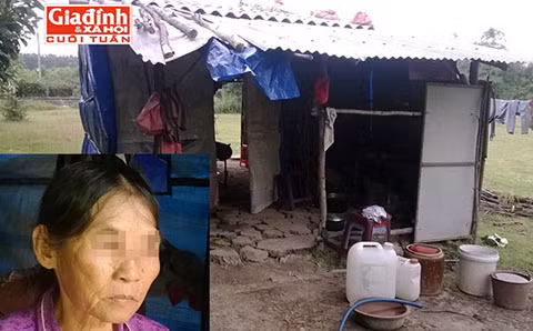 Túp lều rách nát của mẹ con bà Lộc. Người phụ nữ một đời bị chồng bạo hành tình dục (ảnh nhỏ)