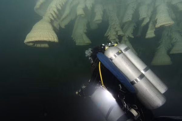 Bí ẩn hang động chứa đầy "chuông tử thần" ở Mexico ảnh 1