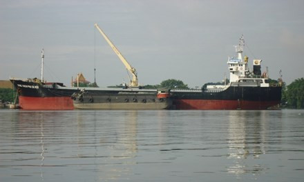 Hình ảnh tàu Dong Thien Phu Silver.