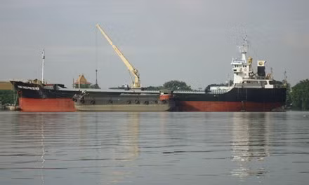 Hình ảnh tàu Dong Thien Phu Silver.