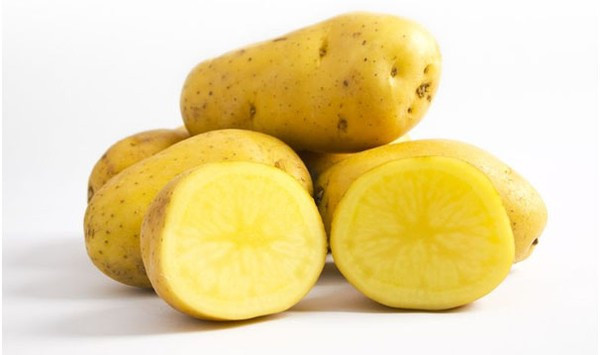 công dụng của khoai tây