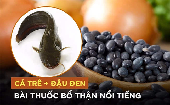 Cá trê đã tốt, đậu đen lại bổ. Hai loại thực phẩm này kết hợp với nhau sẽ thành món ăn đại bổ.