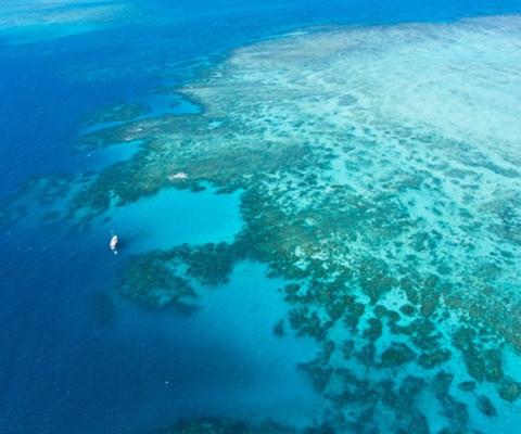 Dải đá ngầm khổng lồ