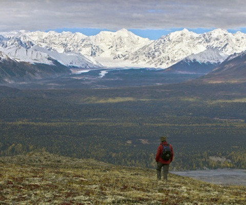 Cao nguyên Alaska lạnh giá