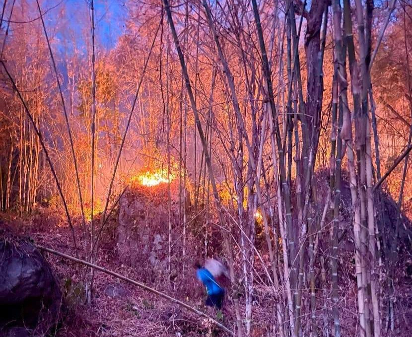 Đám cháy xuất phát từ rừng tầm vông cặp chân núi Dài (xã Lương Phi, Tri Tôn). Đám cháy xuất phát từ rừng tầm vông cặp chân núi Dài (xã Lương Phi, Tri Tôn).