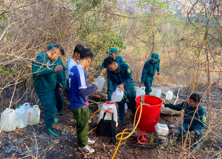 Lực lượng chữa cháy tiếp tục chữa cháy rừng. Lực lượng chữa cháy tiếp tục chữa cháy rừng.