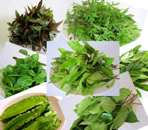 nguy hiểm khi ăn rau sống 2 nguy hiểm khi ăn rau sống 2