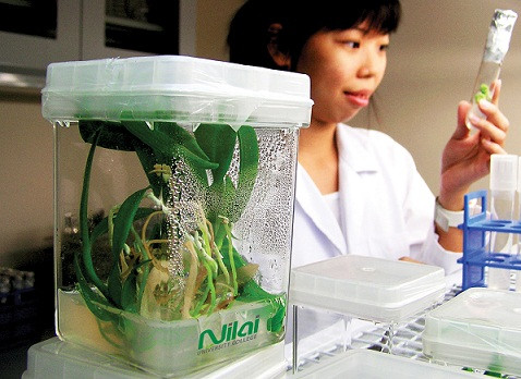 Phương pháp giải nhanh bài tập quy luật di truyền