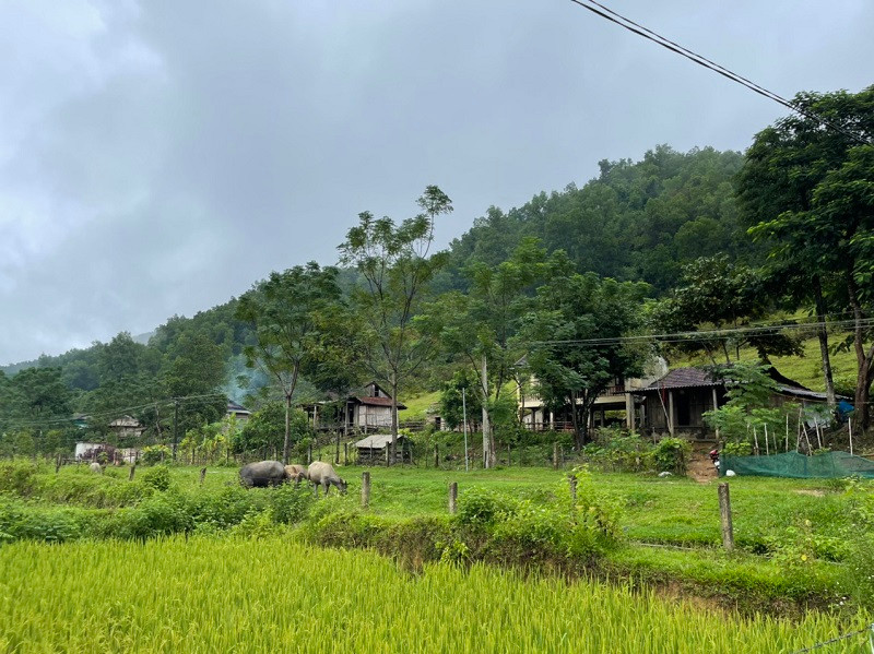 Một góc bản Rào Tre (huyện Hương Khê, Hà Tĩnh).