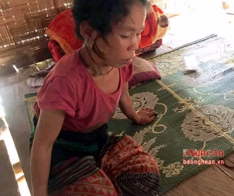 Vao rung lay cui, hai me con bi ong rung vay dot - Anh 1