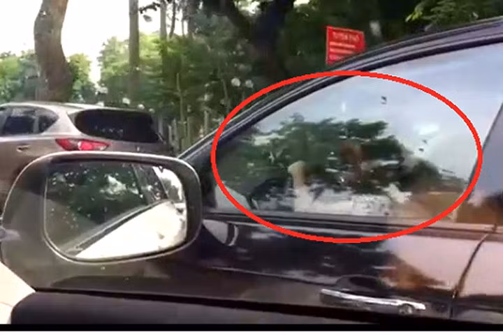 CSGT đang vào cuộc xác minh vụ bé gái lái xe biển xanh trên phố