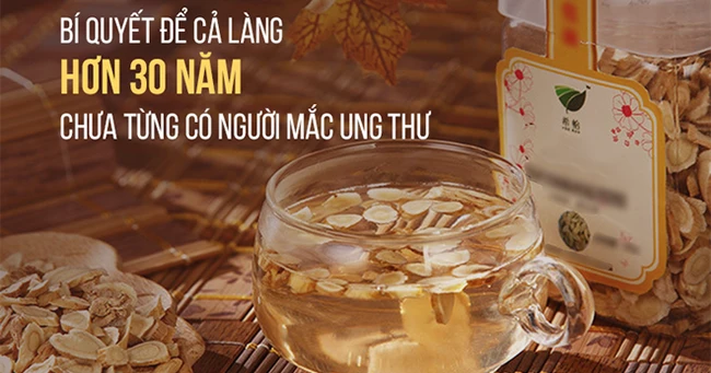 Cả làng 30 năm chưa có người mắc ung thư: Bí quyết nhờ vào một loại thảo dược dân dã