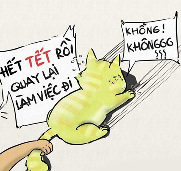 anh-che-day-la-cam-xuc-cua-ban-khi-nhan-ra-tet-da-het-1