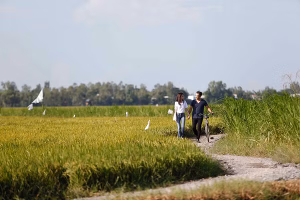 Ngọc Trinh giản dị tay trong tay dạo bước với bạn trai