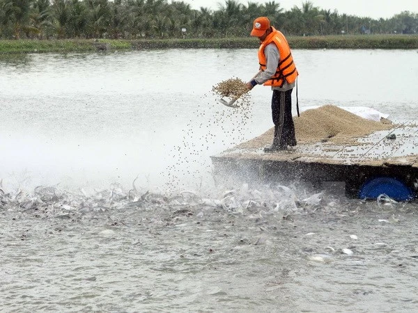 Ảnh minh họa: Phương Vy/TTXVN