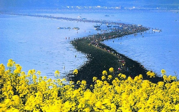 Những trường hợp biến hóa kỳ lạ của thiên nhiên trên thế giới ảnh 3 TẾTNhững trường hợp biến hóa kỳ lạ của thiên nhiên trên thế giới