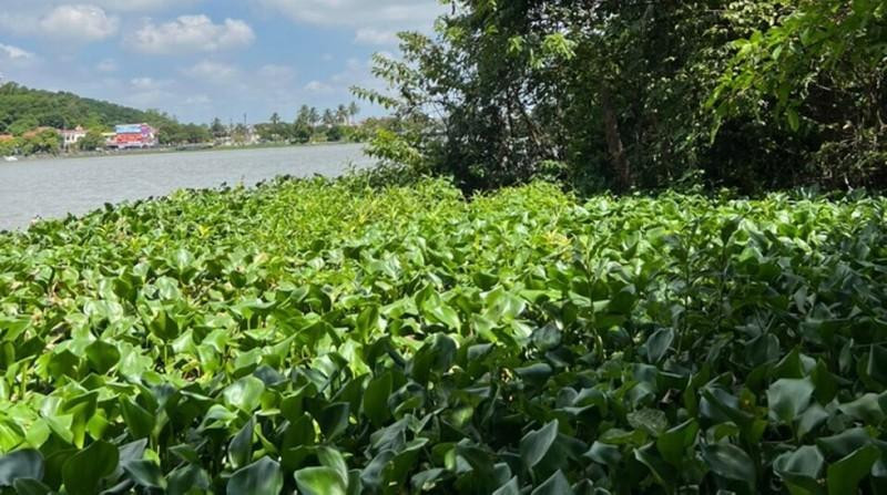 Nơi phát hiện ông L. tử vong (Ảnh CTV).