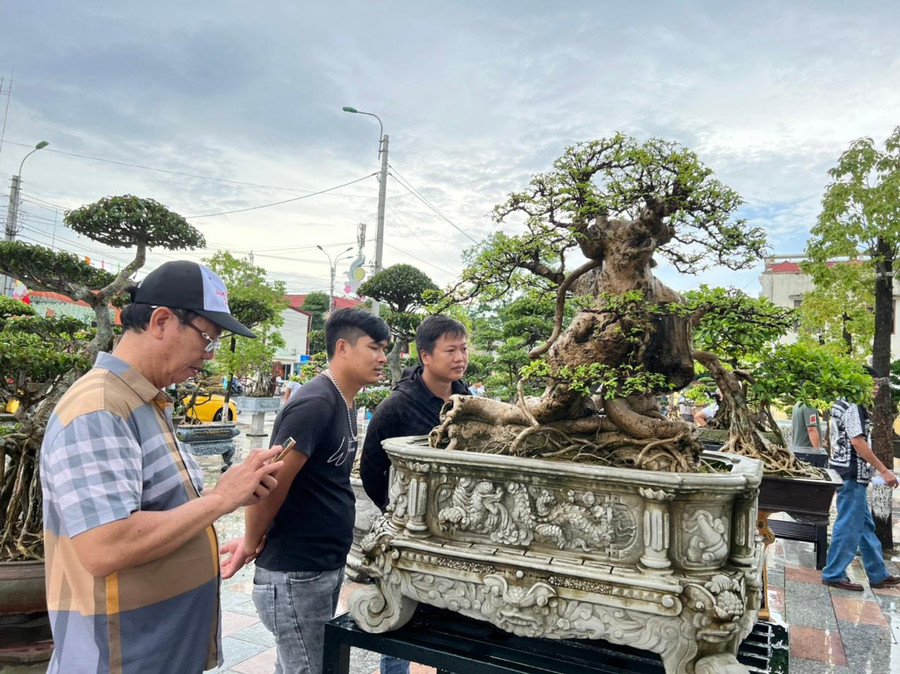 Người yêu thích cây cảnh tham quan, thưởng thức vẻ đẹp của cây. Người yêu thích cây cảnh tham quan, thưởng thức vẻ đẹp của cây.