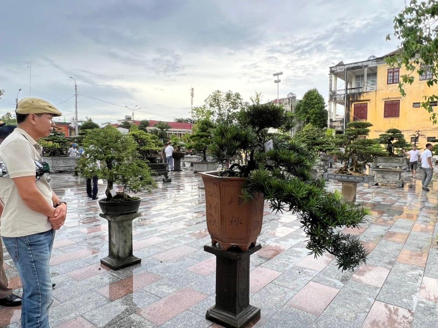 Hơn 2.000 sản phẩm hoa, cây cảnh trưng bày tại Triển lãm và hội chợ. Hơn 2.000 sản phẩm hoa, cây cảnh trưng bày tại Triển lãm và hội chợ.