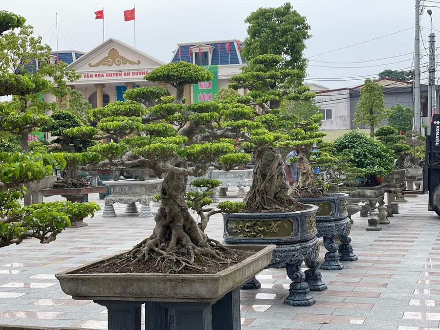 Triển lãm và hội chợ có sự tham gia của các Hội sinh vật cảnh đến từ 32 tỉnh, thành. Triển lãm và hội chợ có sự tham gia của các Hội sinh vật cảnh đến từ 32 tỉnh, thành.