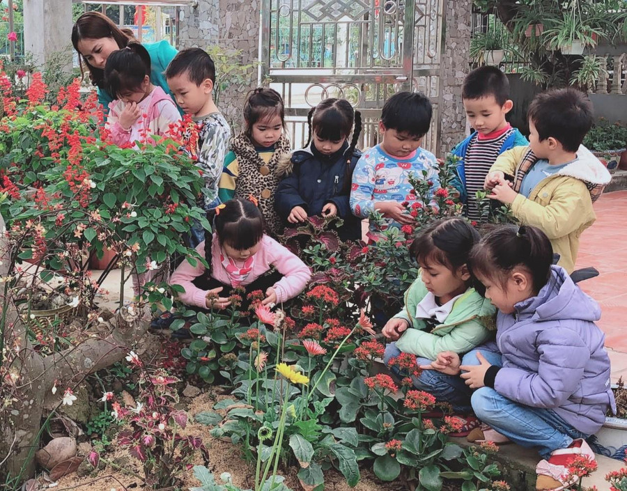 Cô trò Trường Mầm non Liên Am cùng chăm cây.