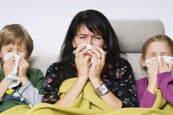 Khám phá bí mật của những người không bao giờ bị cảm