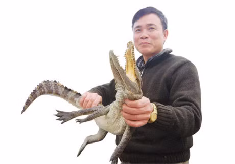 Vua ca sau mien Bac va cu 