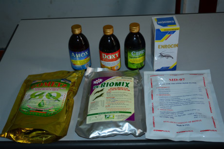 Dau xuan, nghe loi gan ruot cua 