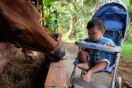 Be bi dam xuyen so tuoi tan ngay dau nam moi - Anh 3