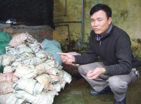 Vua ca sau mien Bac va cu 