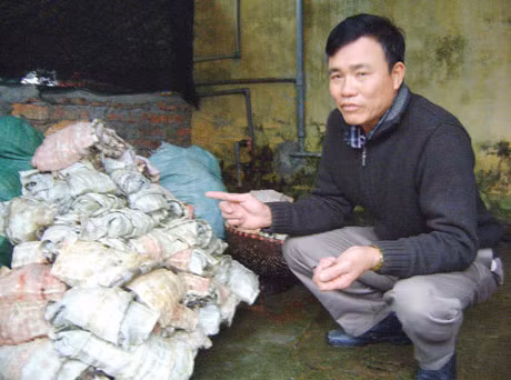 Vua ca sau mien Bac va cu 