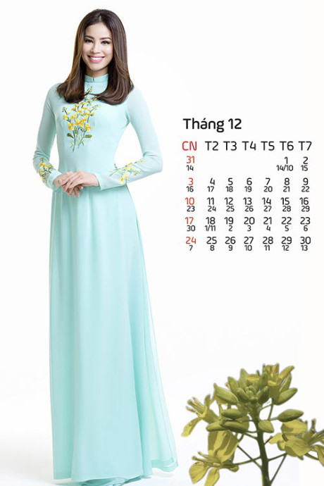 Hoa, a hau Viet mac gi mung xuan Dinh Dau? - Anh 2