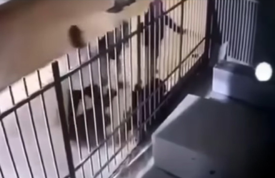 Hình ảnh cắt từ Camera nhà dân quay lại cảnh 3 người dùng dao tự chế chém khiến nam thanh niên tử vong tại chỗ. Hình ảnh cắt từ Camera nhà dân quay lại cảnh 3 người dùng dao tự chế chém khiến nam thanh niên tử vong tại chỗ.