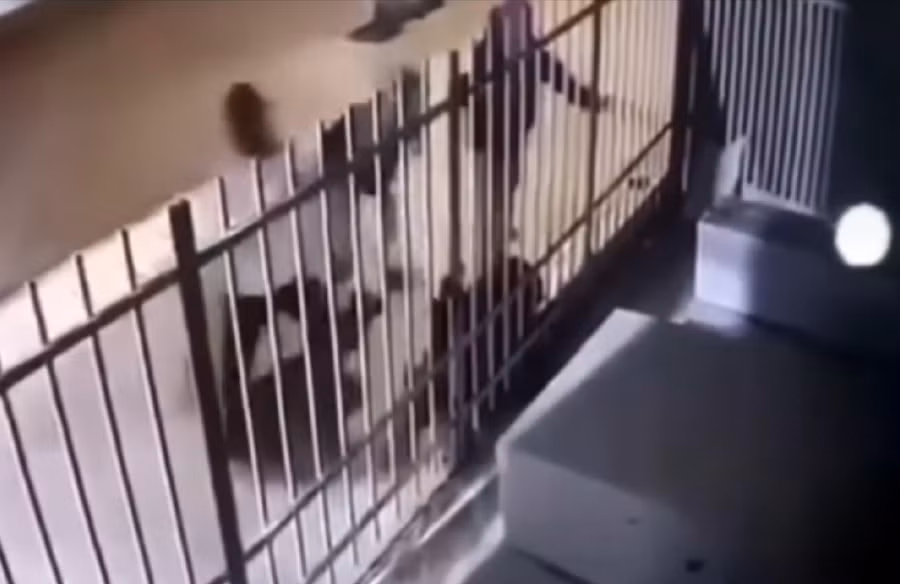 Hình ảnh cắt từ Camera nhà dân quay lại cảnh 3 người dùng dao tự chế chém khiến nam thanh niên tử vong tại chỗ.