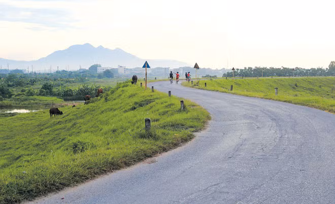 Ảnh minh họa: INT