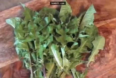 Re cay bo cong anh diet te bao ung thu? - Anh 4