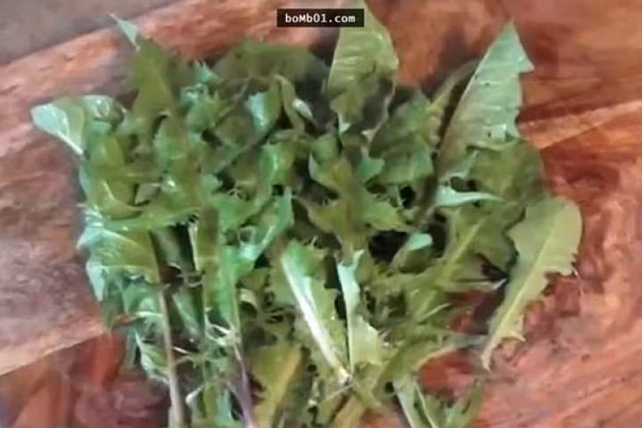 Rễ cây bồ công anh diệt tế bào ung thư?