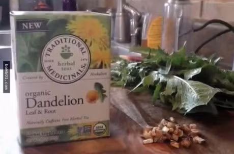 Re cay bo cong anh diet te bao ung thu? - Anh 3