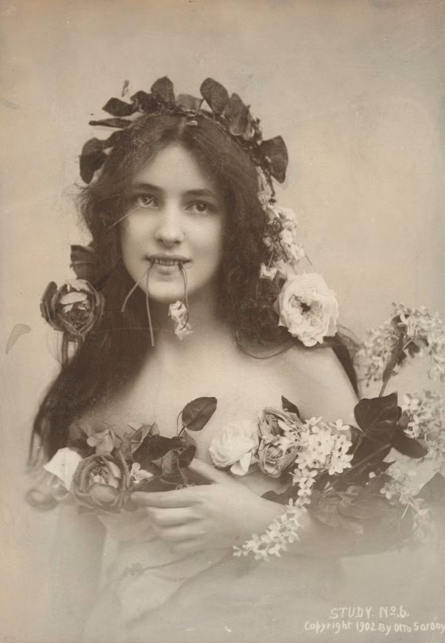 Bức “Chân dung nàng Evelyn Nesbit” của James Carroll Beckwith.