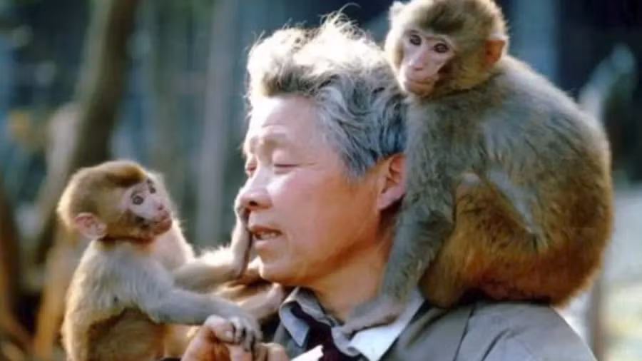 Cụ ông 81 tuổi suốt 30 năm một mình chăm "vườn thú cô đơn nhất thế giới" ảnh 1