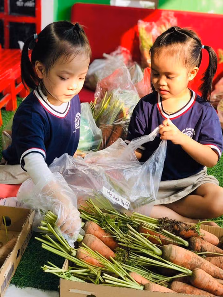 Chúng mình cùng chia cà rốt vào các túi nhỏ để các bạn tiện xách về nhà
